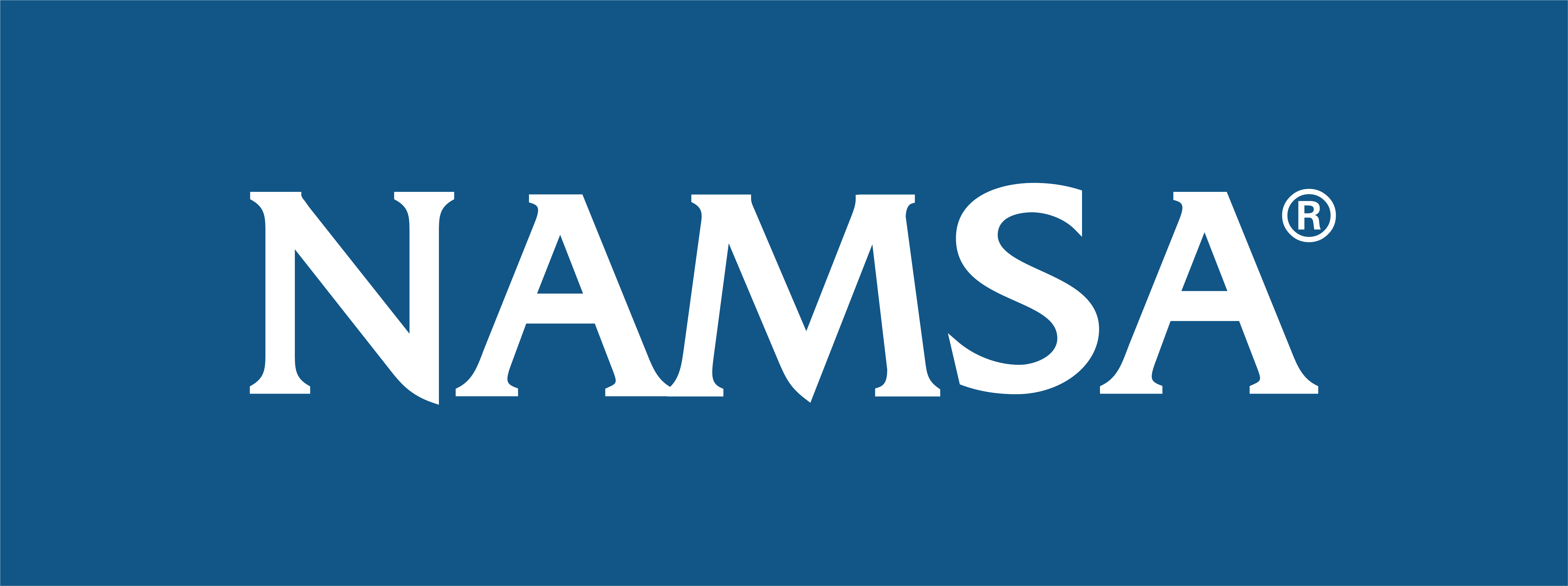 NAMSA logo